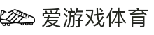 爱游戏 (aiyouxi)中国官方网站 | AYX SPORTS
